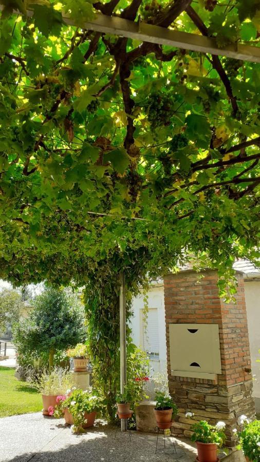 Вилла El Maragato Castrillo de Cepeda Экстерьер фото
